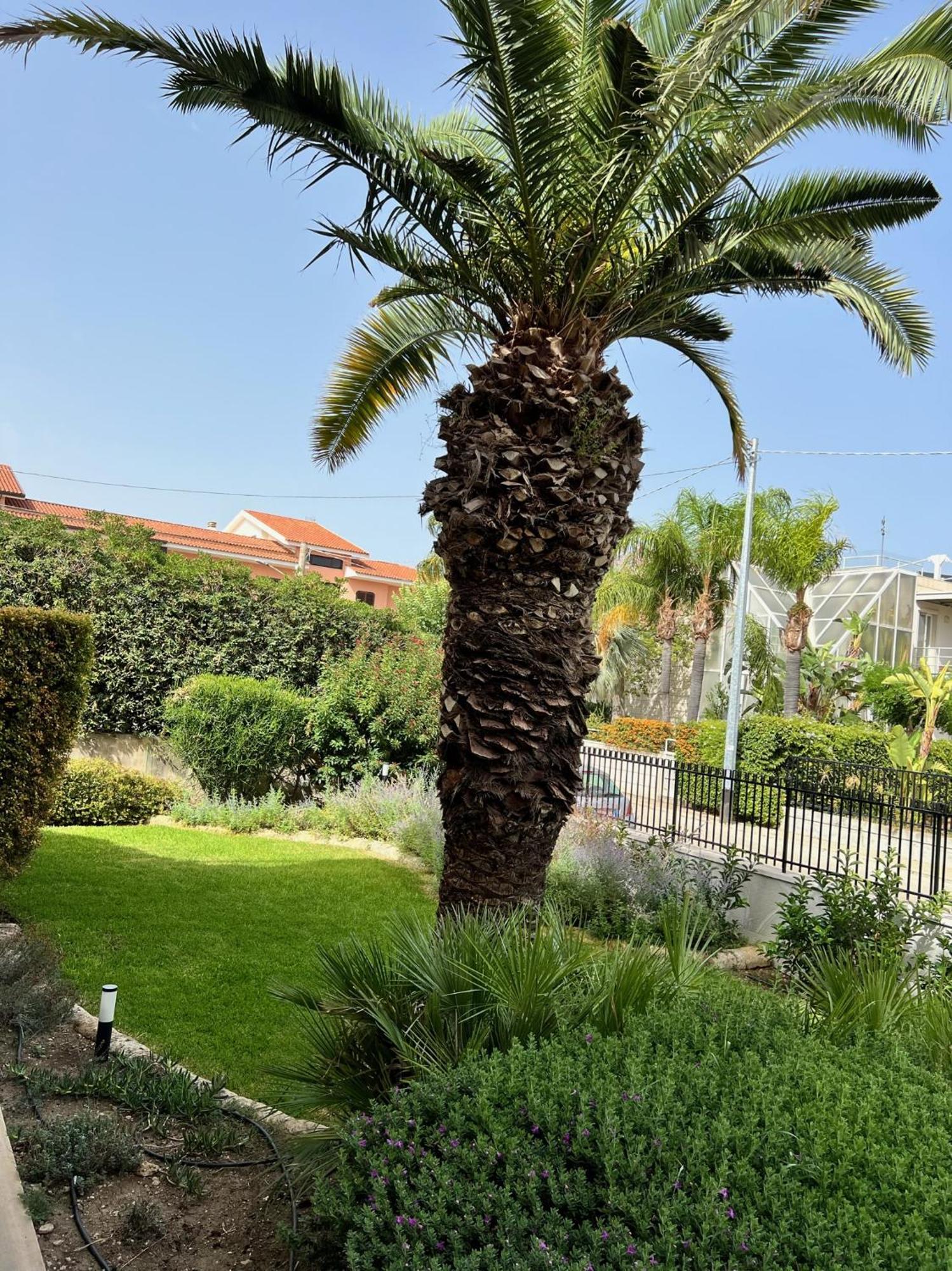 Rocamar Appartement Avola Buitenkant foto